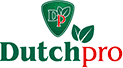 Dutch Pro