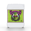 Advanced Nutrients - Big Bud