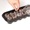 Jiffy Botanian - Mini Greenhouse Kit