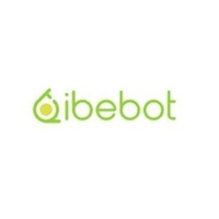 iBebot