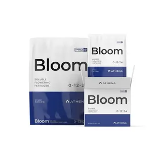 Athena Pro - Bloom