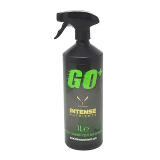 Intense Go+