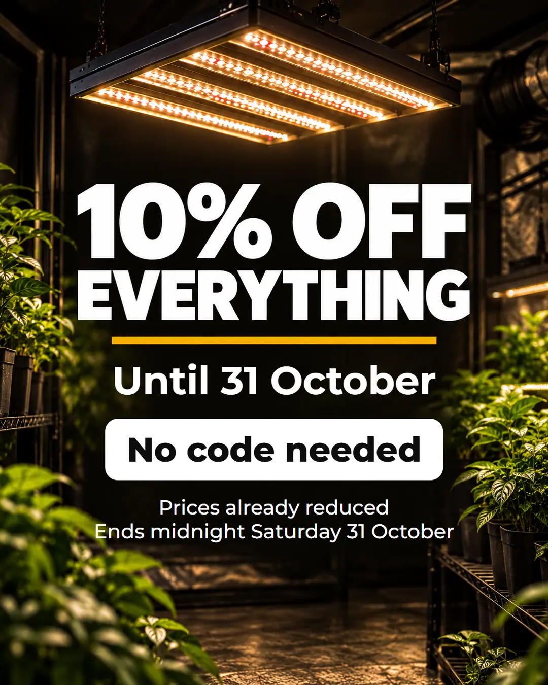 10% Off Everything